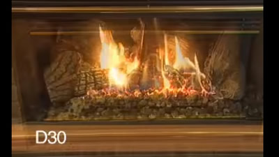 Mendota D Series Fireplace